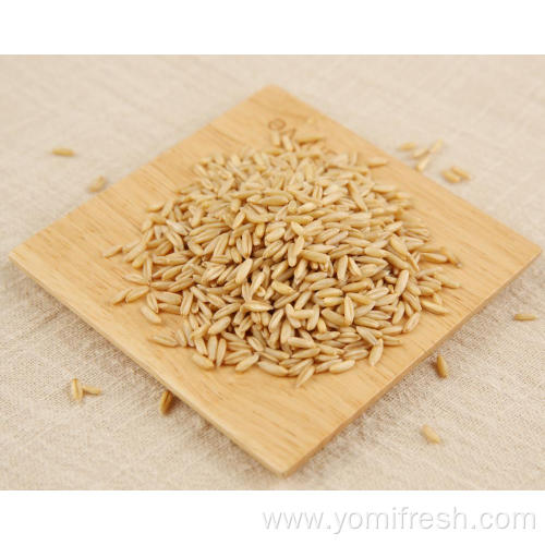 Oats Rice Wheat